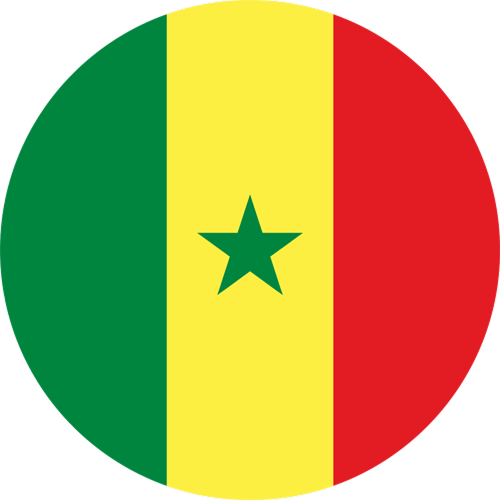 Icon of Ghana Flag